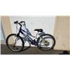Image 1 : BLUE INFINITY BIKE