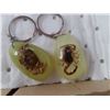 Image 2 : 12 new insect keychains