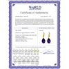 Image 2 : Genuine 10 ctw Amethyst Earrings 14KT Yellow Gold - REF-45K3V