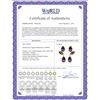 Image 2 : Genuine 13 ctw Amethyst Earrings 14KT Yellow Gold - REF-58P7H