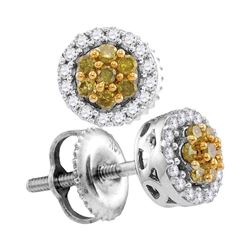 Womens Round Yellow Color Enhanced Diamond Cluster Earrings 1/4 Cttw 10kt White Gold - REF-12R9X