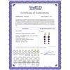 Image 2 : Genuine 7.8 ctw Amethyst Earrings 14KT Yellow Gold - REF-46A3K