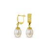 Image 1 : Genuine 8 ctw Pearl Earrings 14KT Yellow Gold - REF-21M2T