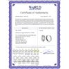 Image 2 : Genuine 0.07 ctw Diamond Anniversary Earrings 14KT White Gold - REF-43Y2F