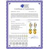 Image 2 : Genuine 14.3 ctw Peridot & Citrine Earrings 14KT White Gold - REF-82R9P