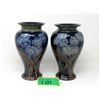 Image 1 : Pair of Antique Royal Doulton  9" Vases