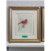 Image 1 : Michael Dumas Framed Print of Cardinal
