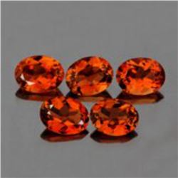 Natural Champagne Imperial Topaz 5 Pcs  {Flawless-VVS1}
