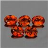 Image 1 : Natural Champagne Imperial Topaz 5 Pcs  {Flawless-VVS1}