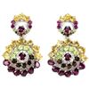 Image 1 : Natural Multi Gemstone EarRing