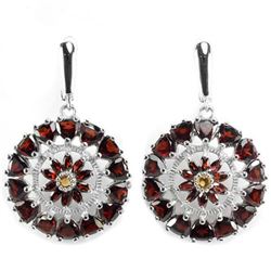 Natural Garnet & Citrine Earring