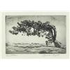 Image 2 : Lyman Byxbe, Etching