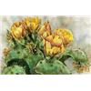 Image 2 : Lee Rommel (New Mexico) Watercolor