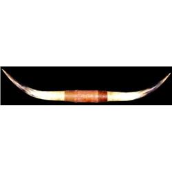 Longhorns, 54 1/4 inches