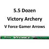 Image 1 : 5.5 Doz V Force 500 Gamer Arrows