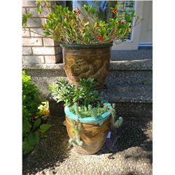 Two outdoor plants A