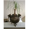 Image 1 : Potted Plant in Ornate Metal Container