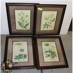 4 FRAMED PRINTS 24" X 19"