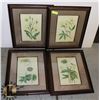 Image 1 : 4 FRAMED PRINTS 24" X 19"