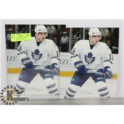 LOT OF ALEX STEEN TORONTO MAPLE LEAFS 8X10 PHOTO