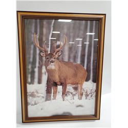 18 X 24 FRAMED DEER PICTURE