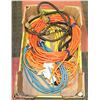 Image 1 : BOX OF OUTDOOR EXTENSION CORDS