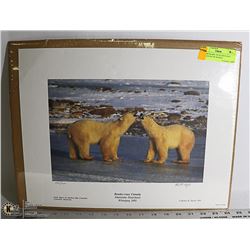 POLAR BEARS  ON HUDSON BAY COASTLINE BY ROBERT