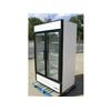 True GDM-43 2-door Glass Freezer