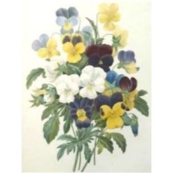 After Pierre-Jospeh RedoutÃ©, Floral Print, #97 Bouquet de PansÃ©es  (Pansies)
