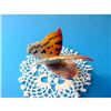 Image 6 : Vintage Hand-painted Hungarian DRASCHE Porcelain Butterfly