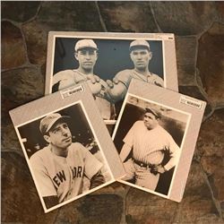 Group of Baseball Photo Prints