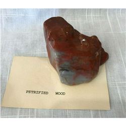 Prehistoric Petrified Opalized Wood Lapidary Specimen