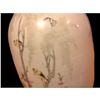 Image 6 : Large 19thc Chinese Birds Tree Blossoms Butterflies Porcelain Vase