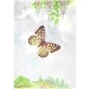 Image 1 : 1920's Gray Emperor Butterfly Color Lithograph Print