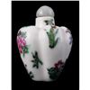 Image 2 : Chinese Hand-Painted Porcelain Floral Melon Snuff Bottle