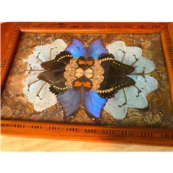 Vintage Art Deco Butterfly Wing & Inlaid Wood Tray