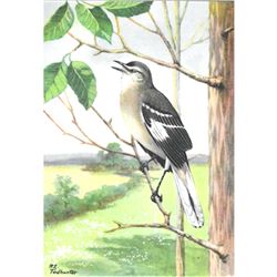 1920's Mocking-Bird Color Lithograph Print