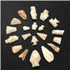 Group of Native American Arrowheads, Artifacts