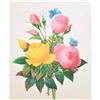 Image 1 : After Pierre-Jospeh RedoutÃ©, Floral Print, #127 Rose jaune et de Rose du Bengale ( Rose )