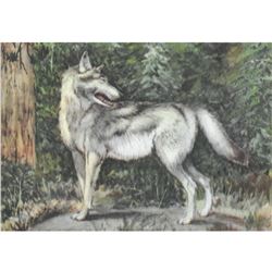 1920's Gray Wolf Color Lithograph Print