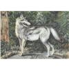 Image 1 : 1920's Gray Wolf Color Lithograph Print