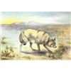 Image 1 : 1920's Coyote Color Lithograph Print
