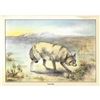 Image 2 : 1920's Coyote Color Lithograph Print