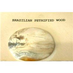 39ct Prehistoric Brazilian Petrified Wood Cabochon