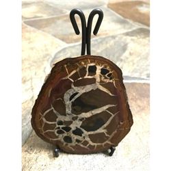 Large Natural Moroccan Dragon's Stone Septarian Nodule Display Specimen