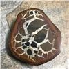 Image 2 : Large Natural Moroccan Dragon's Stone Septarian Nodule Display Specimen