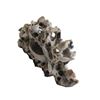 Image 6 : Chinese Soapstone Carving Bixi, Birds Trees