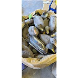 80 MALLARD DUCK DECOYS IN LARGE CANVAS BAG