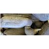 Image 5 : 80 MALLARD DUCK DECOYS IN LARGE CANVAS BAG