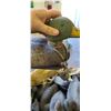 Image 7 : 80 MALLARD DUCK DECOYS IN LARGE CANVAS BAG